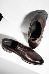 Pair of brown leather dress shoes